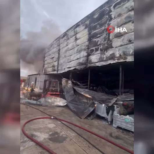 Kırklareli'de İlaç Fabrikasında Yangın: Ekiplerin Uzun Uğraşlarıyla Söndürüldü