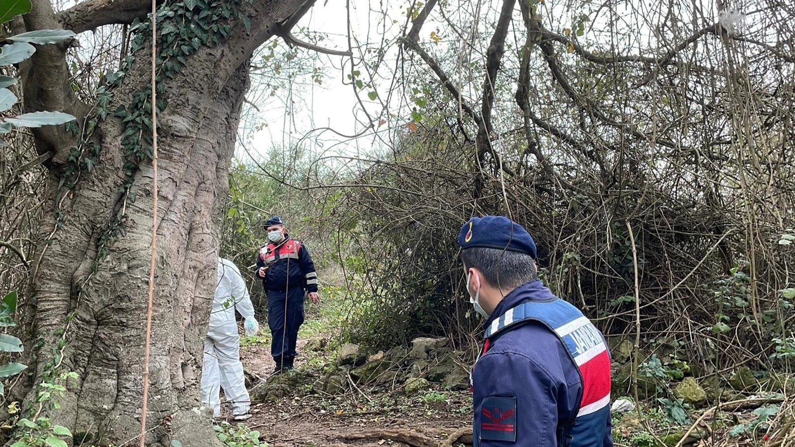 2 gündür haber alınamayan kişi çalılıklarda ölü bulundu