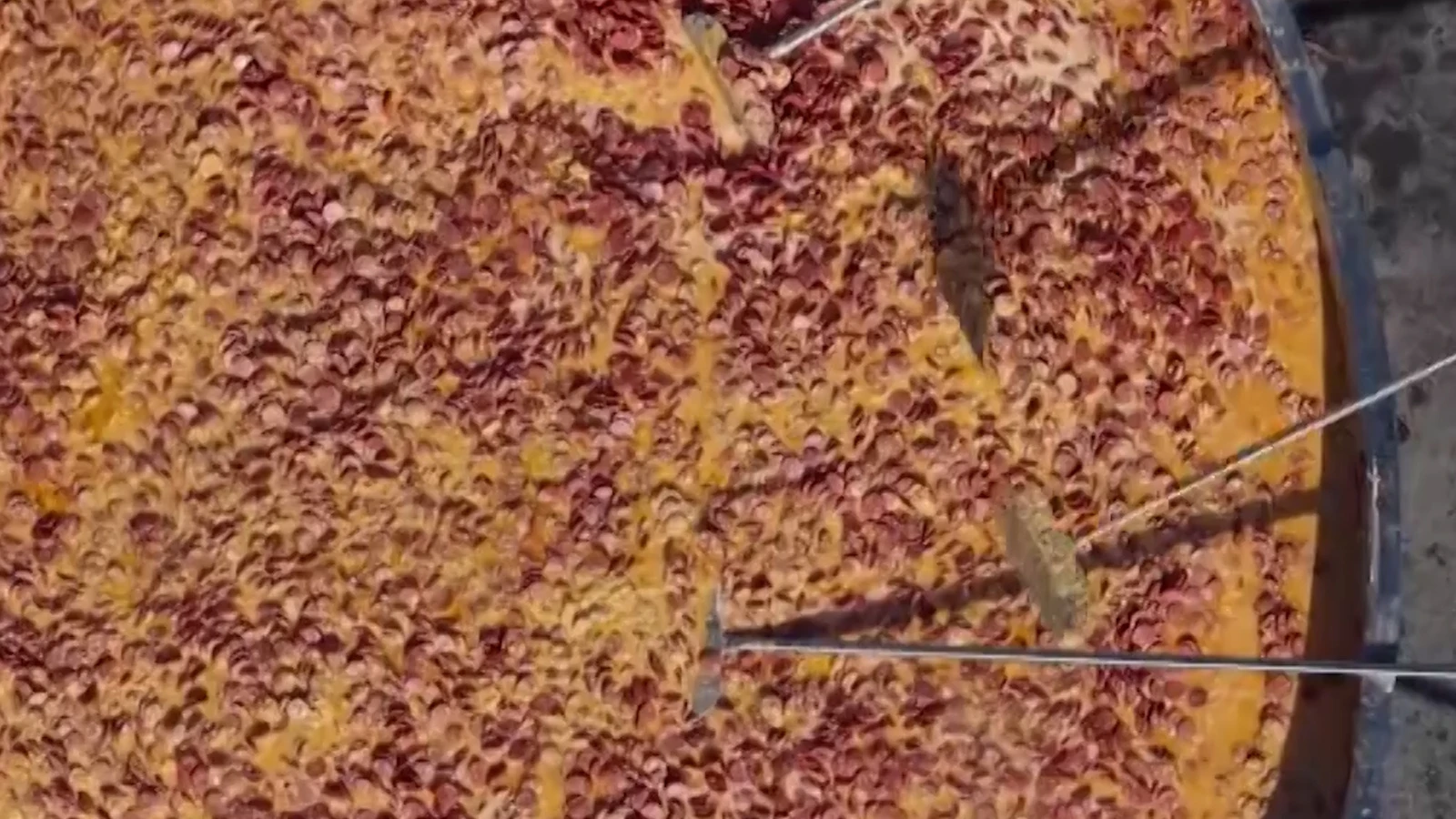 Dünyanın en büyük sucuklu yumurtası yapıldı!