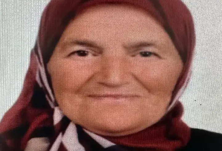 Kayıp kadını arama çalışmalarında 2'nci gün