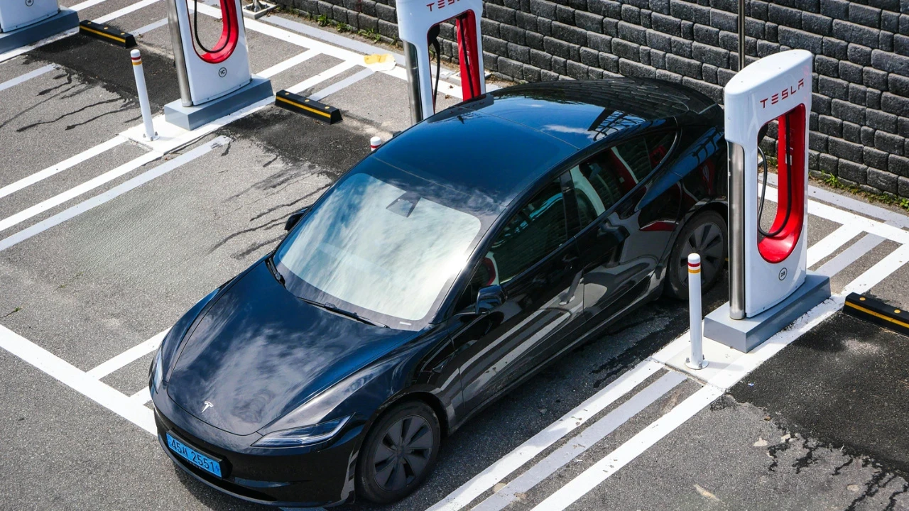 Her 6 otomobilden 1'i elektrikli! Benzin-dizel dönemi bitiyor mu?