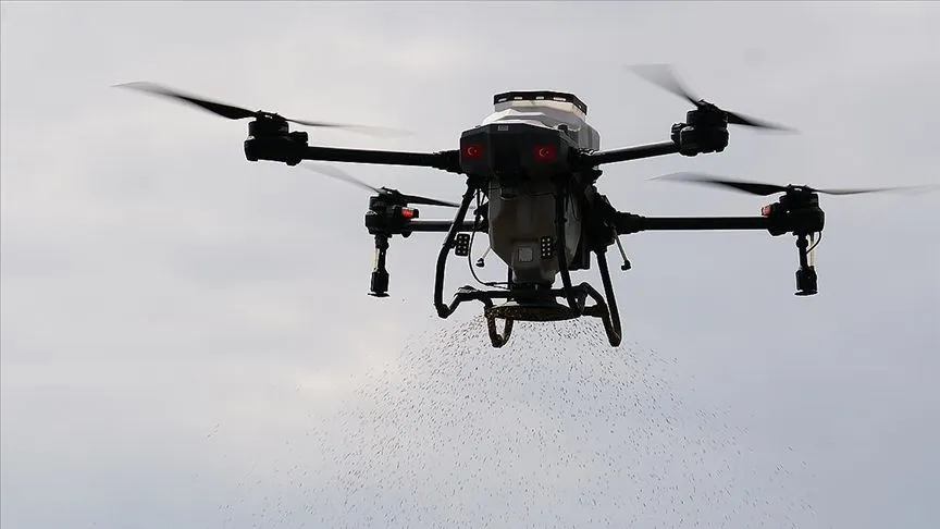Pirinç üretimiyle öne çıkan Osmancık'ta dronla çeltik ekimi yapılıyor