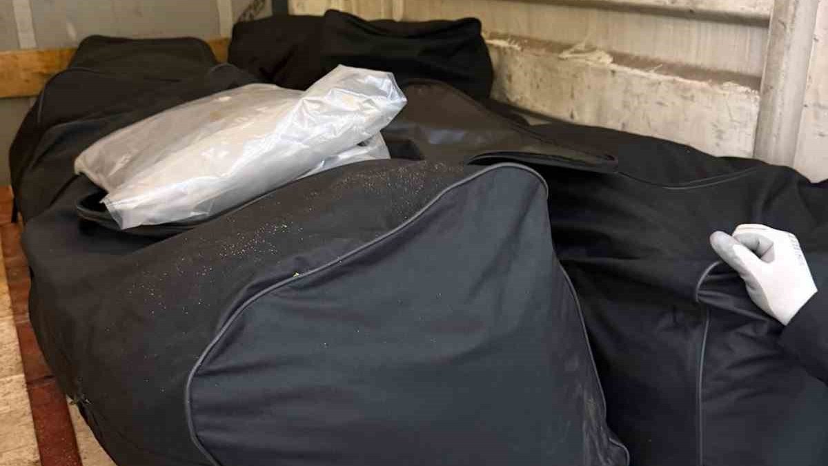 Türkiye’ye Sokulmak İstenen 221,73 Kilogram Esrar Sınırda Yakalandı