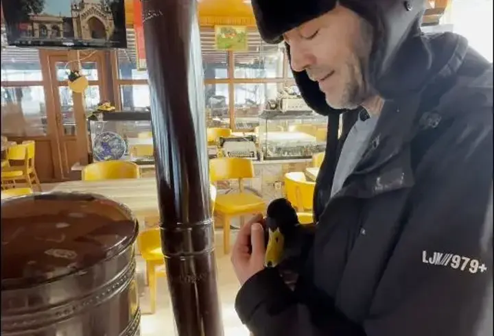 Kastamonu'da kış koşullarında bitkin bulunan ördek, beslenip doğaya salındı