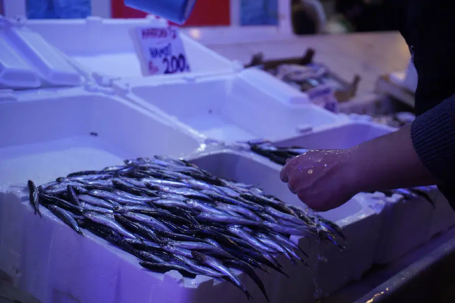 Hamsi boldu, Gürcistan'a geçti. Tezgahta zirve ona kaldı