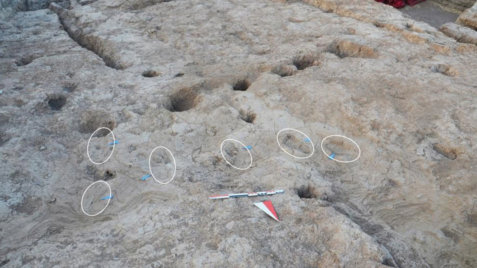 7 bin 200 yıllık keşif! Tell Kurdu Höyüğünde bulundu