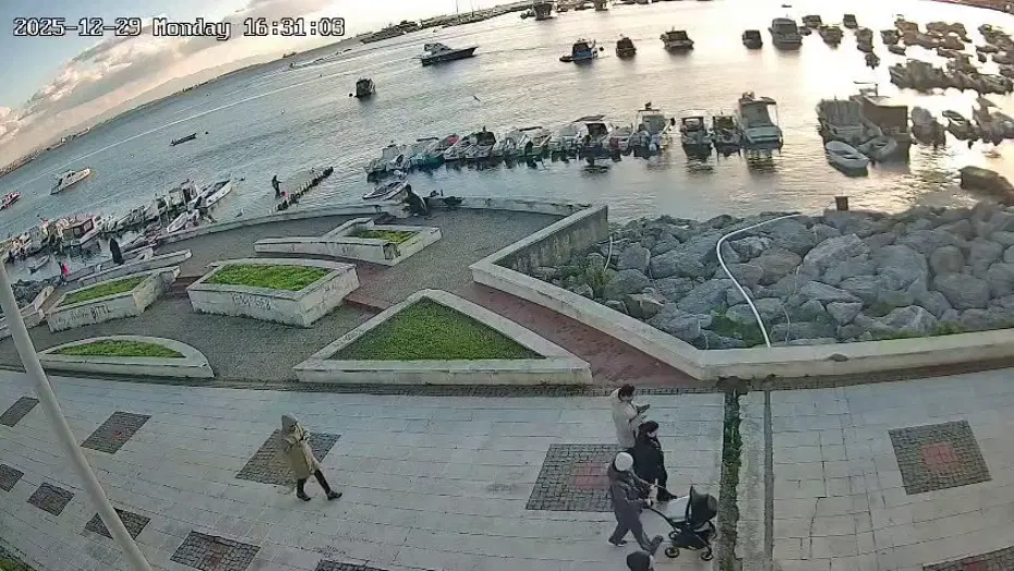 Oltasındaki balığa yaklaşan kediyi tekmeleyip denize fırlattı