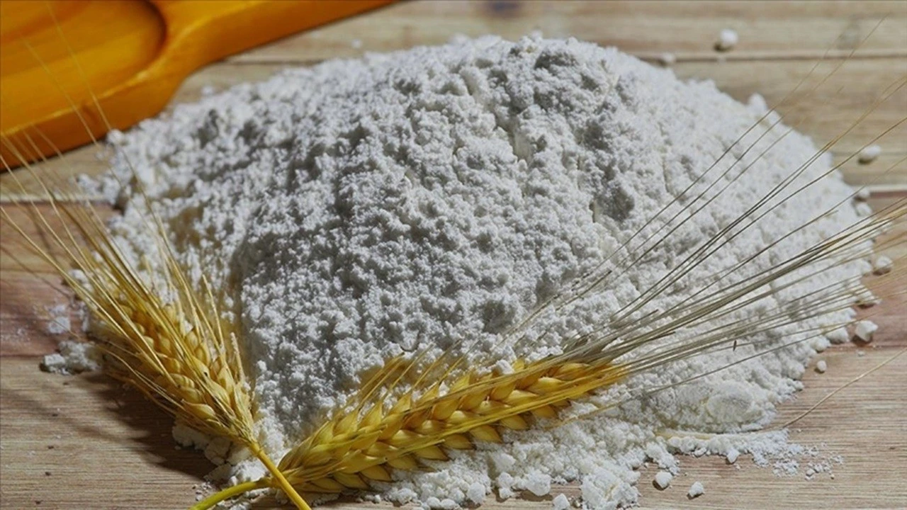Dünya un ticaretinde her 4 paketten 1’i Türkiye’den