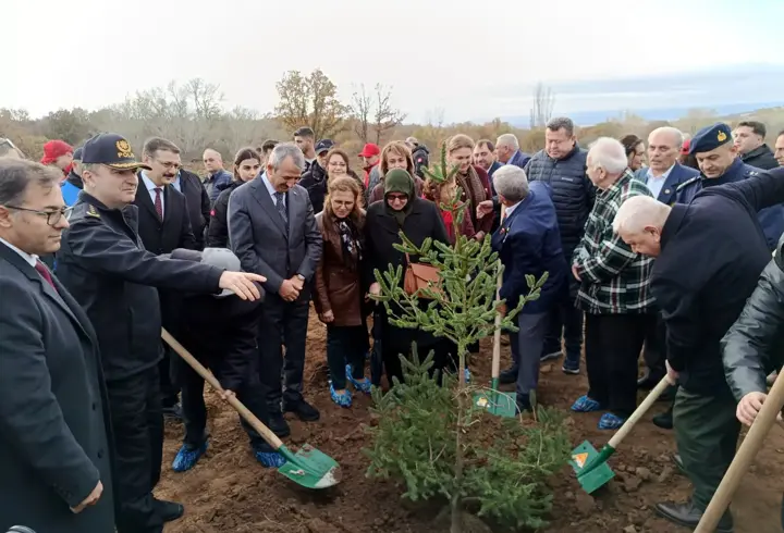 Edirne’de 500 çam fidanı, şehitlerin anısına toprakla buluştu