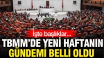 TBMM'de Yeni Haftanın Gündemi: Yatırım Fonları Ve Kızılay Kanunu