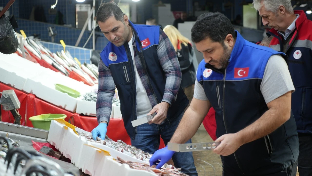 Tezgâhta küçük balık satana 1,5 milyon TL'ye varan ceza