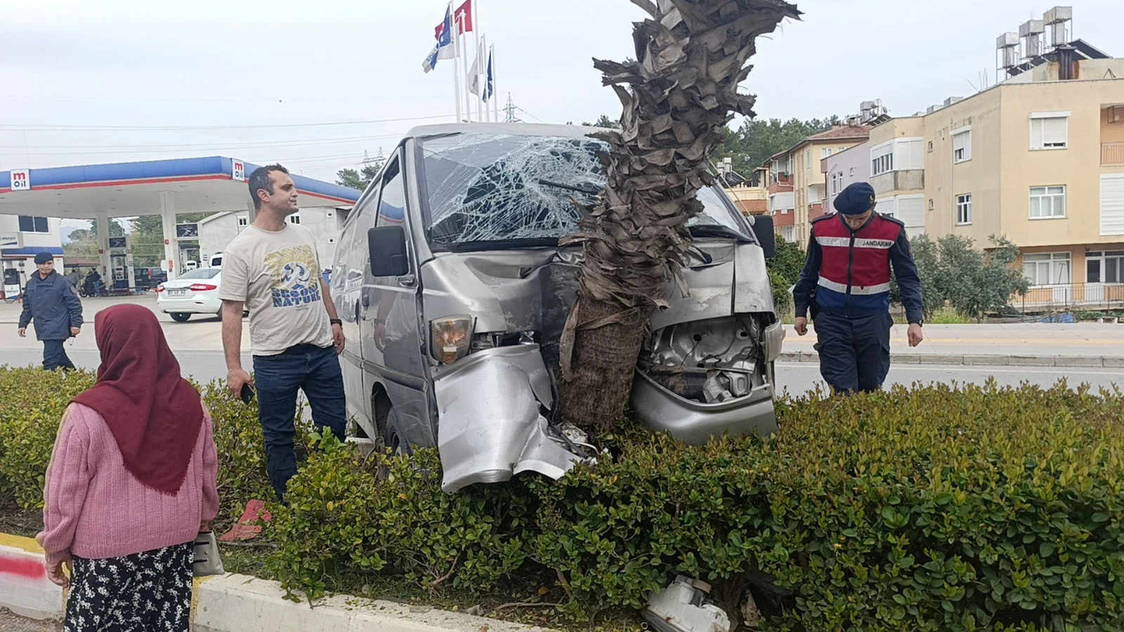 Manavgat'ta kamyonet palmiyeye çarptı: 1 yaralı
