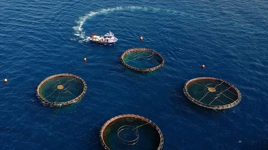 Karadeniz'in su ürünleri ihracatı ilk çeyrekte 85 milyon doları aştı