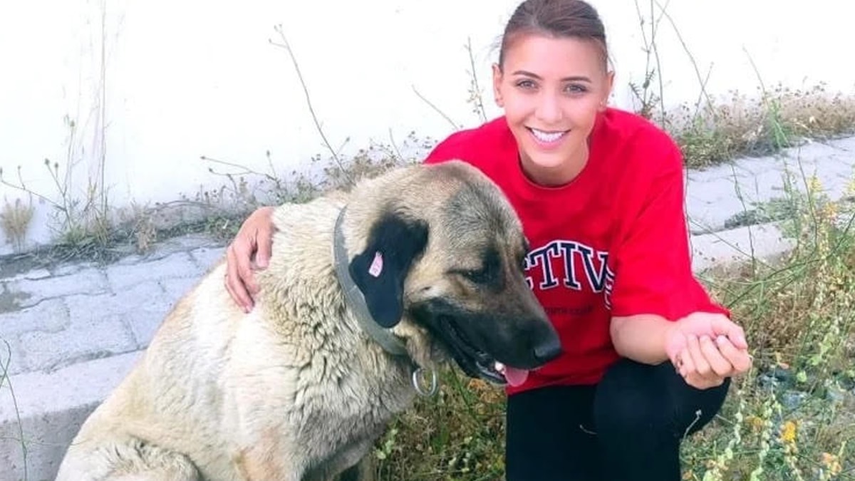 Sokak köpeklerini kurtardığı için 105 bin TL ceza kesilmişti… Cezaya itiraz etti