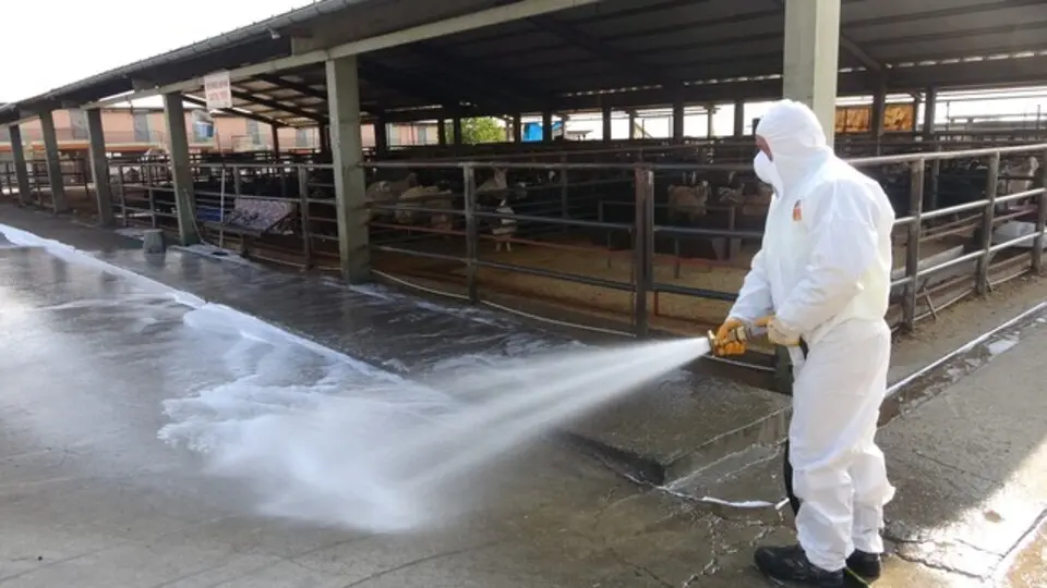 “Şap hastalığı kontrol altına alındı ancak aşılama devam etmeli”