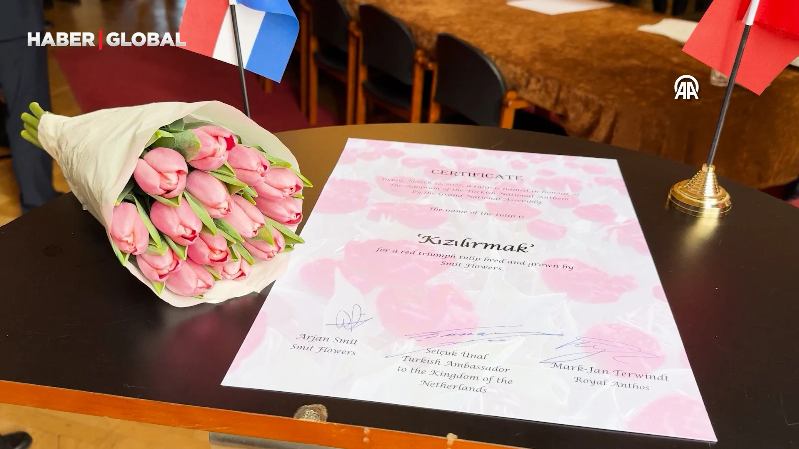  Hollanda'da yetiştirilen özel lale türüne "Kızılırmak" ismi verildi