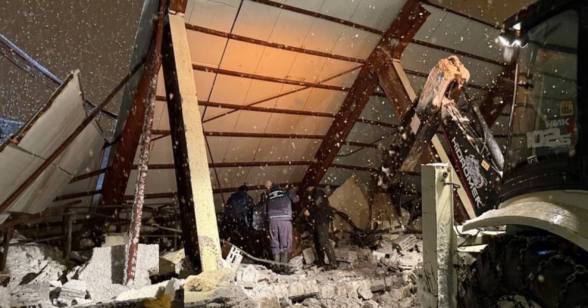 Besi ahırında kar faciası! 18 büyükbaş öldü
