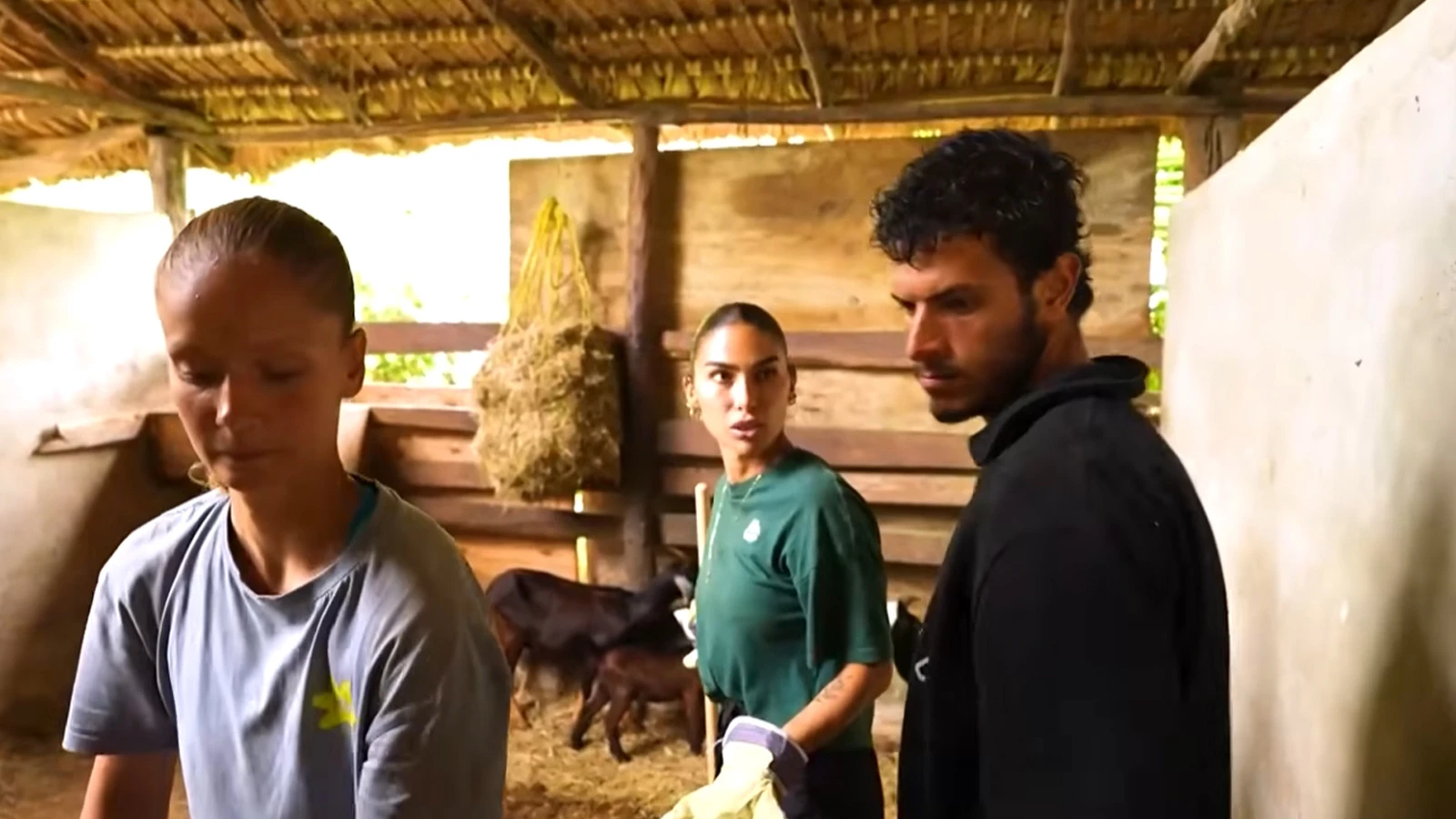 TV8 izle! Survivor yeni bölüm izle