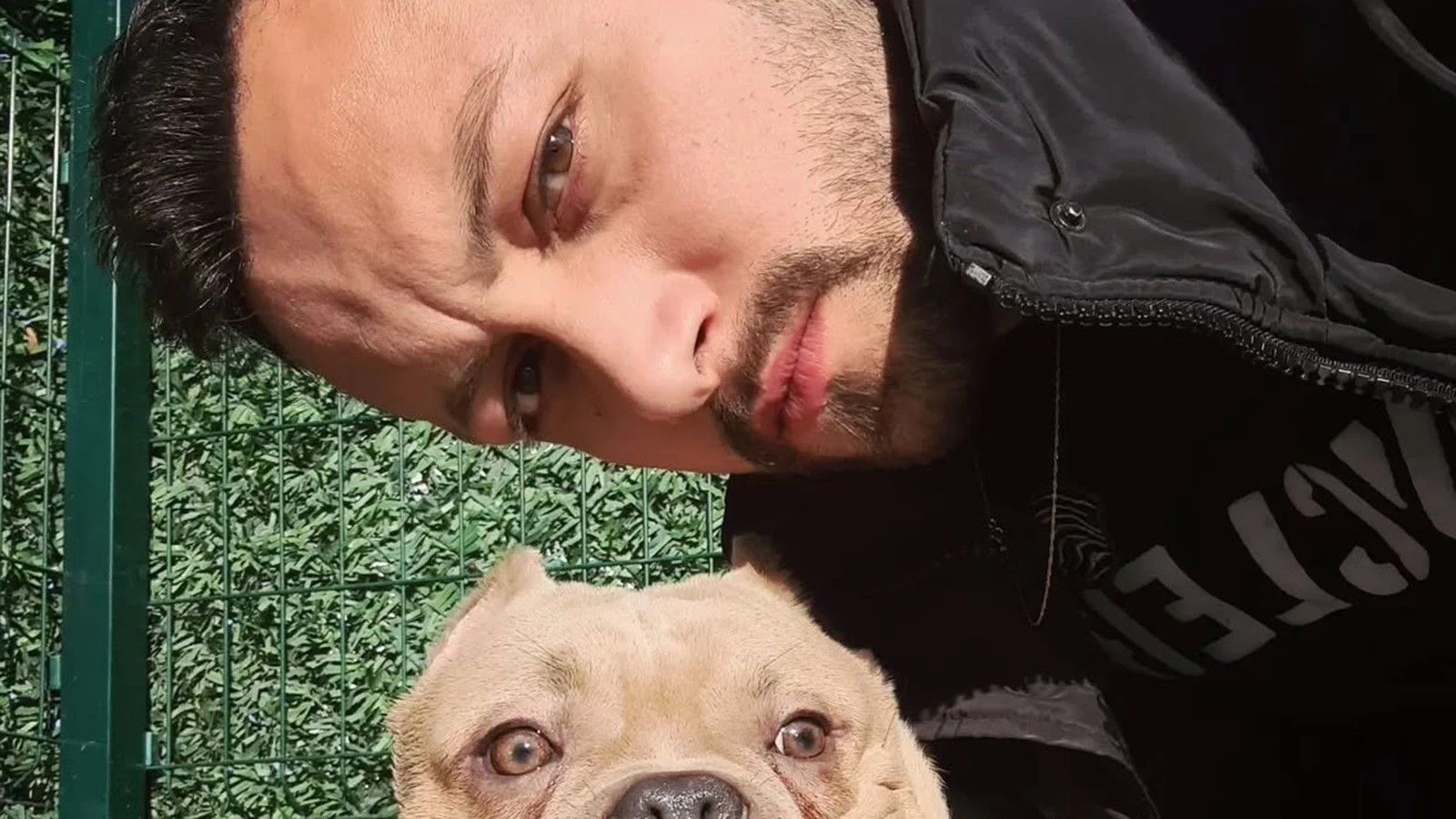 Şişli'deki otomobil dehşeti! Köpeğini gezdirmeye çıktı, hayatını kaybetti