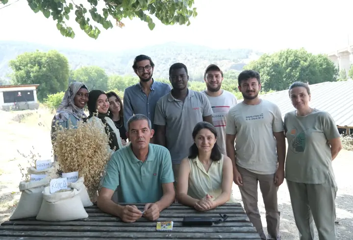Bilecik Şeyh Edebali Üniversitesinin 4 yulaf çeşidi "üretim izinli çeşit" listesine alındı
