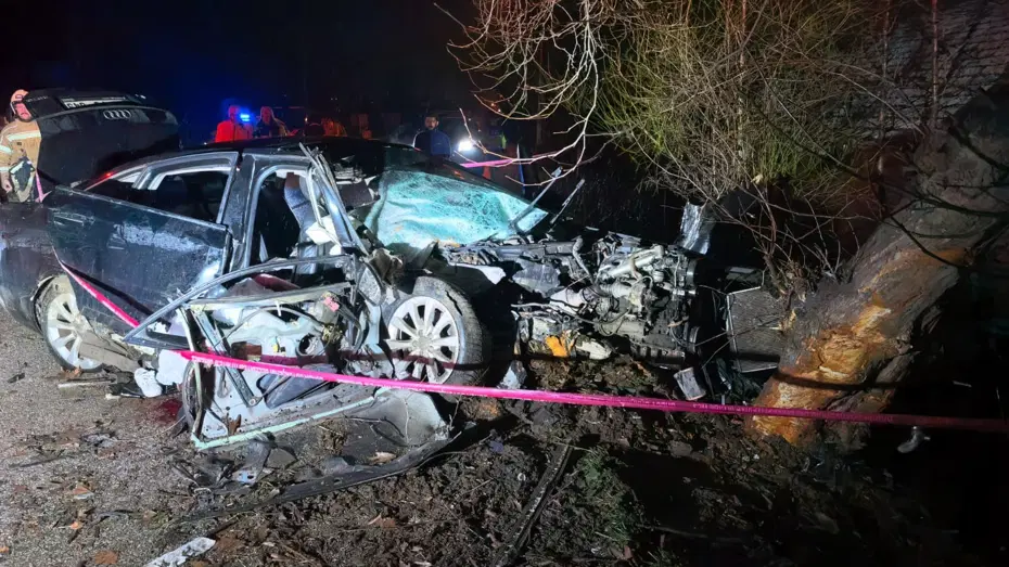 Kontrolden çıkan araç ağaca çarptı: 2 ölü, 2 yaralı