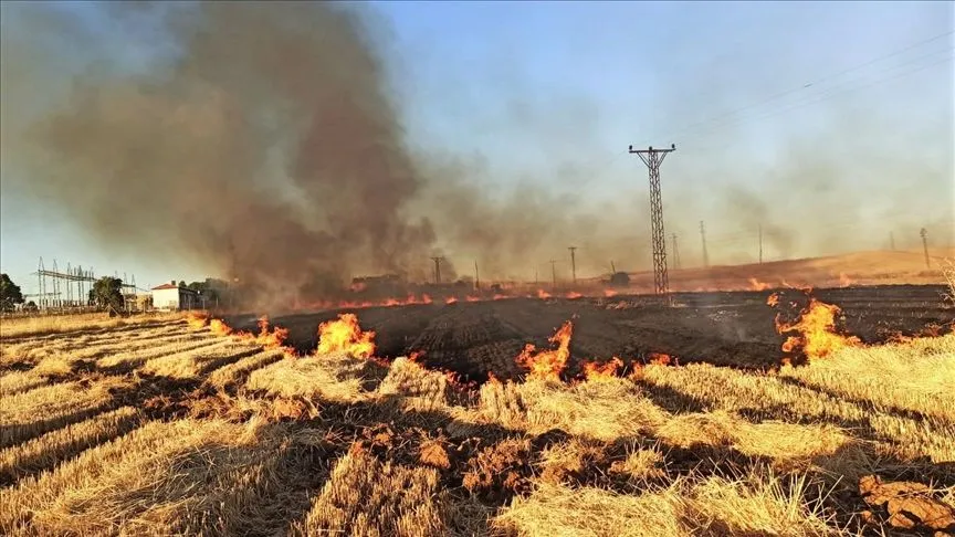 Şanlıurfa'da anız yakan 114 kişiye adli işlem uygulandı