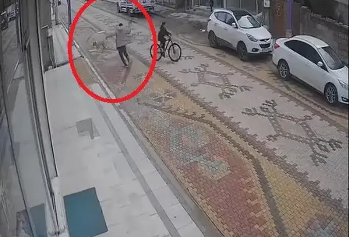 Esnafın, çocuğu, sokak köpeğinin saldırısından kurtardığı anlar kamerada