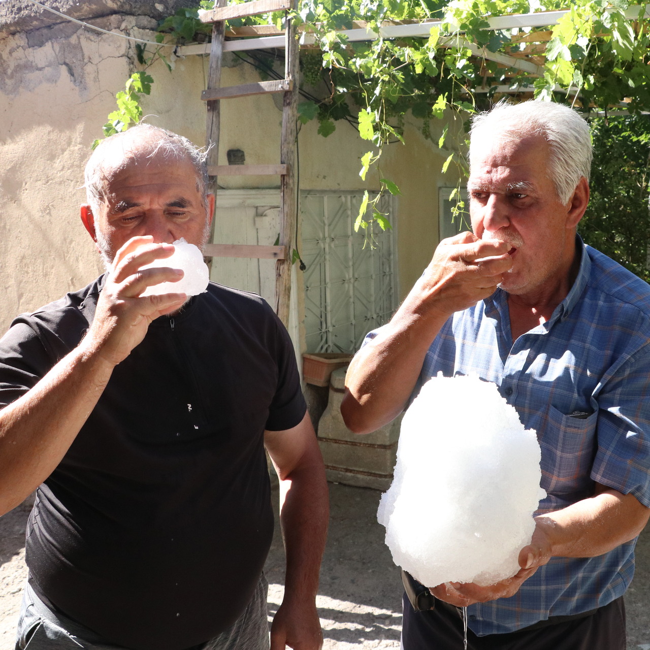 Kışın kuyulara doldurup yazın kovalarla çıkarıyorlar