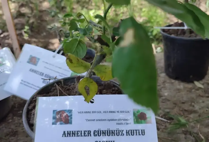 Okul bahçesinde şehitler için yetiştirdikleri gülleri, şehit annelerine verdiler