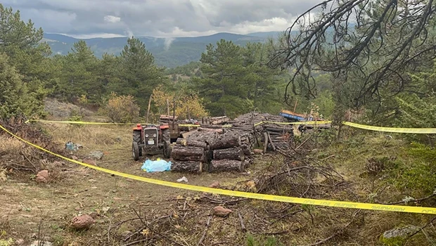 Kastamonu'da Ormanda Dehşet: Köy İmamını Odunla Darbederek Öldürdü
