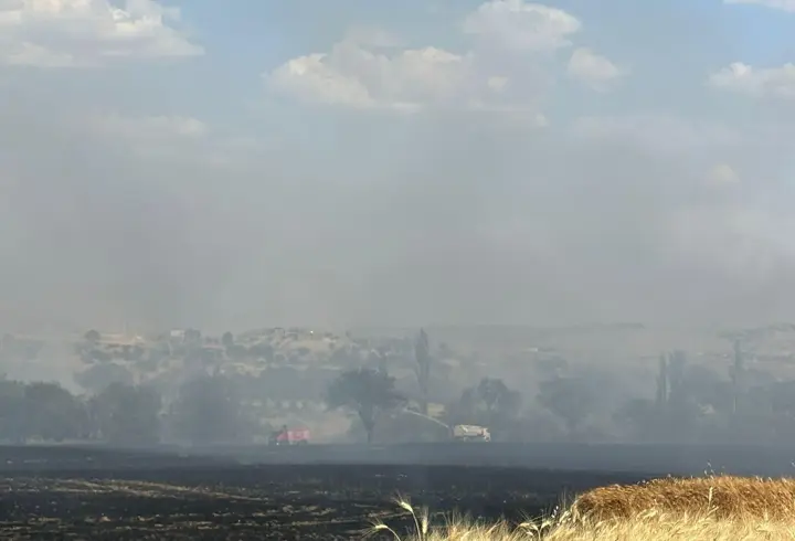 Ergani’de çıkan yangında 200 dönüm arazi zarar gördü