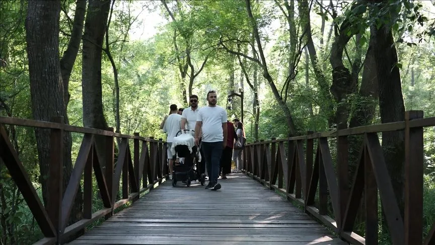 Samsun'da Çakırlar Korusu ziyaretçilerin ilgisini çekiyor