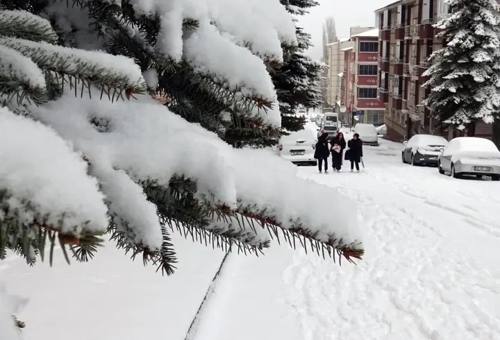 Kars'ta aralıklarla etkili olan kar, etrafı beyaza bürüdü