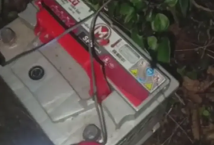 Ordu’da Kaçak Bıldırcın Avında Kullanılan 4 Ses Düzeneği Ele Geçirildi
