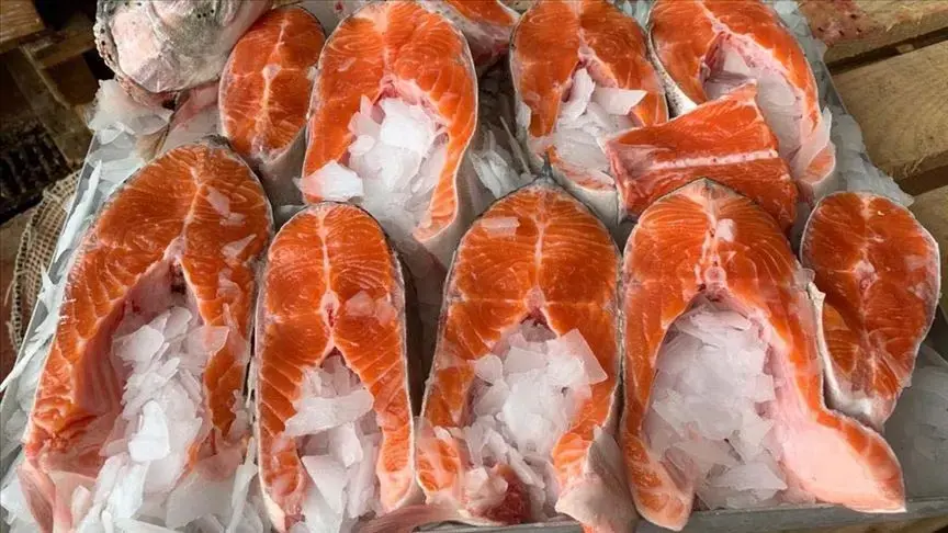 Hamsi Mi Somon Mu? Omega-3 Bakımından Hangi Balık Daha Faydalı?