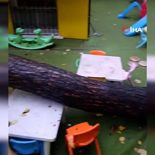 İstanbul'da Etkili Olan Sağanak Ve Fırtınada Anaokulunun Bahçesindeki Ağaç Devrildi
