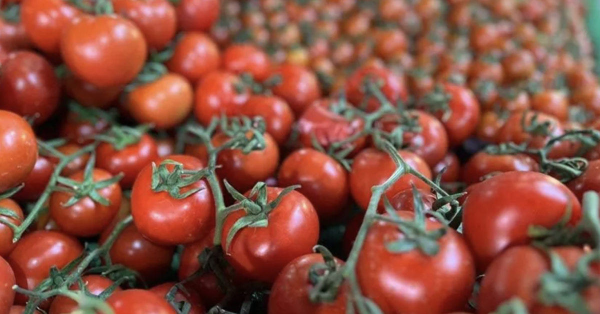 Tzob Açıkladı: Ekim Ayında Marketlerin Zam Şampiyonu Belli Oldu - Son Dakika Ekonomi Haberleri - Habertürk