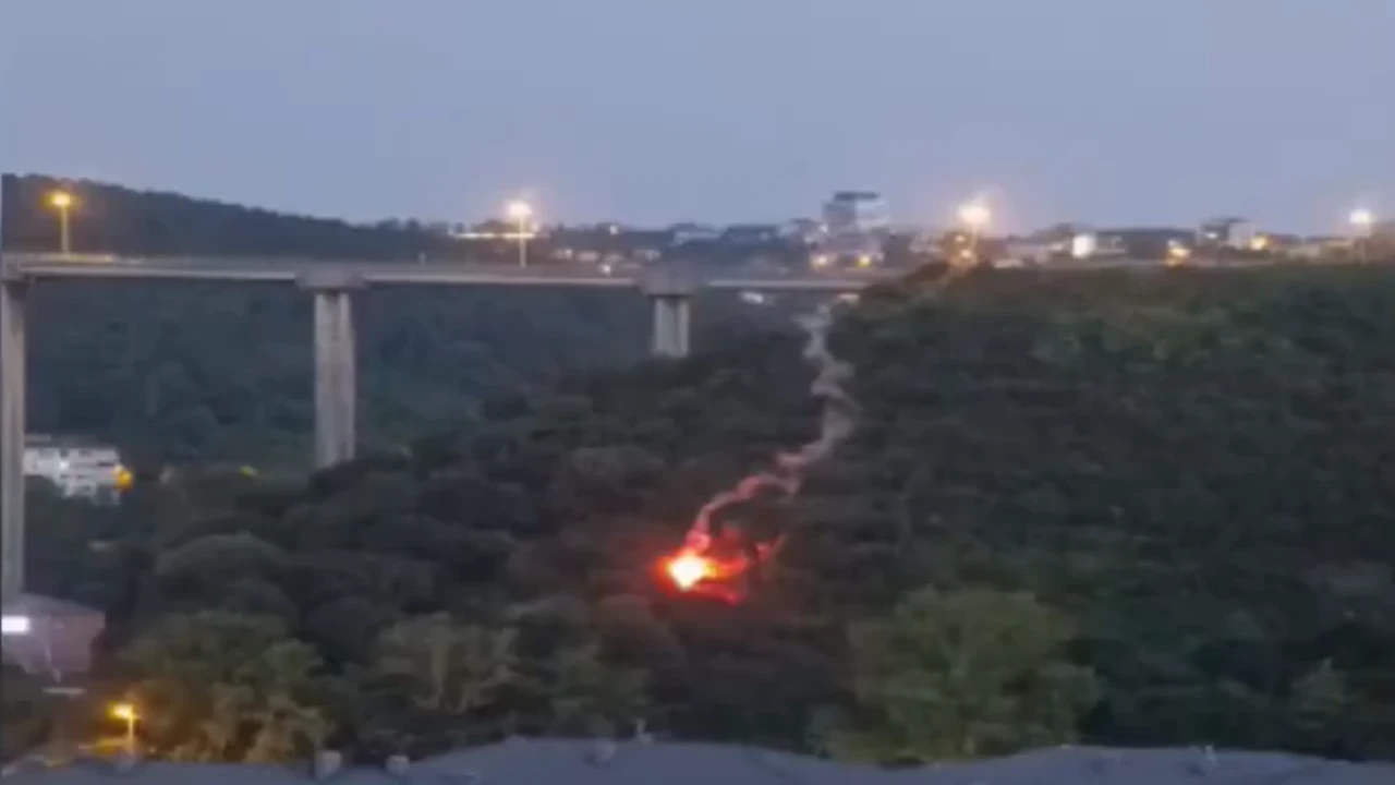 Beykoz'da işaret fişeğiyle ormanı yakan kişi tutuklandı