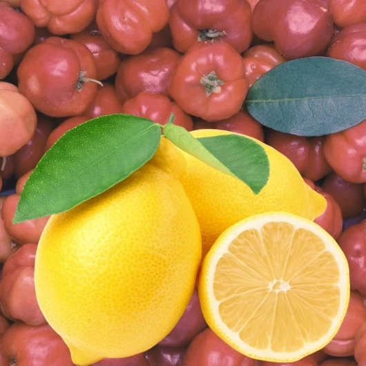 Balkonda Yetişiyor, C Vitaminiyle Şaşırtıyor! Limonun Tahtına Göz Diken Meyve