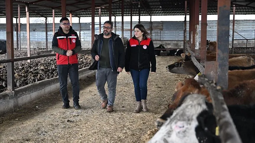 Depremzede besici, devlet desteğiyle hayvan sayısını katladı