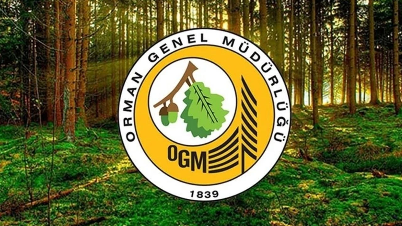 OGM işçi alımı sonuçları açıklandı mı, ne zaman açıklanacak?
