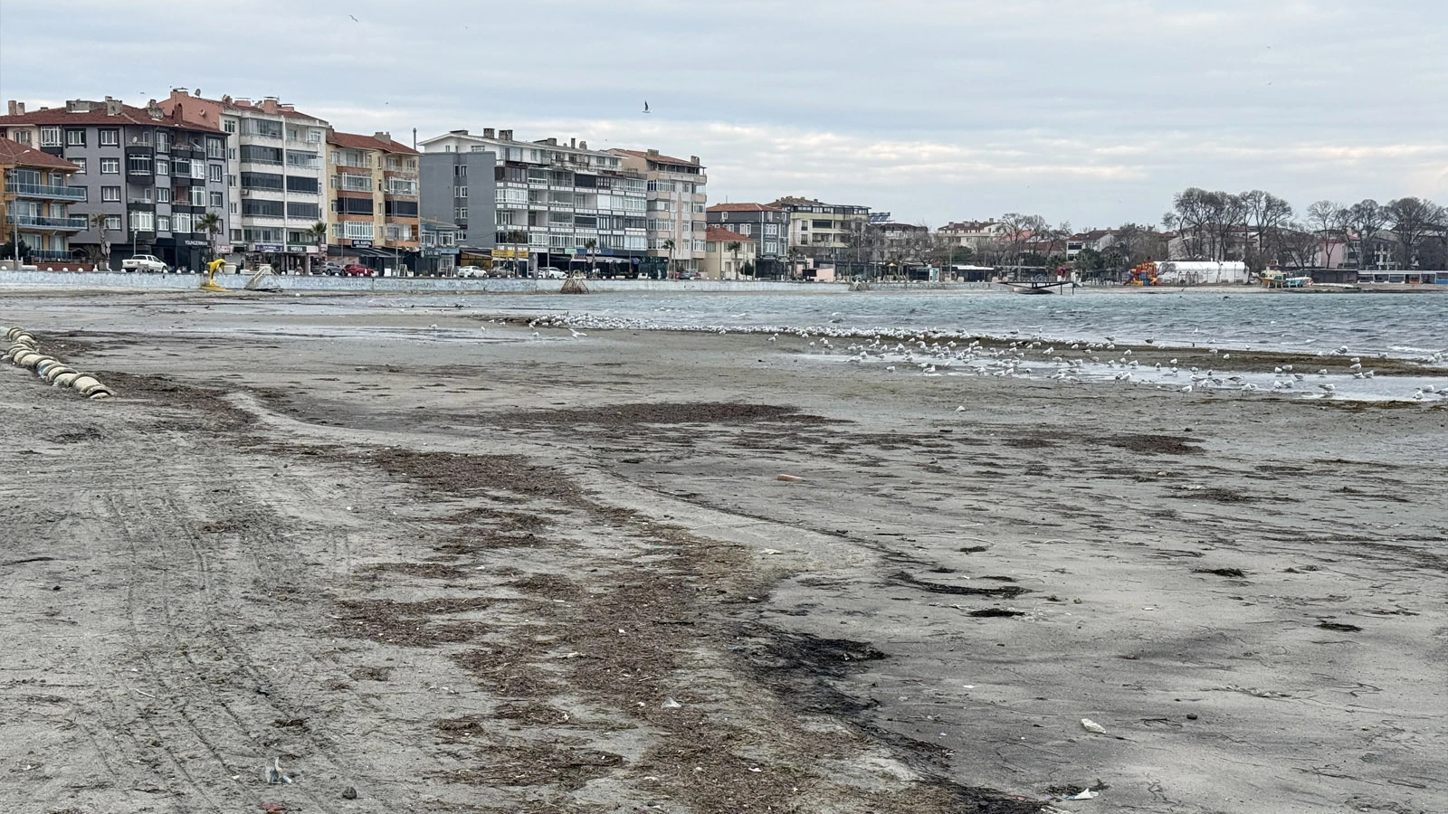 Tekirdağ sahillerinde korkutan görüntü: Deniz suyu çekildi