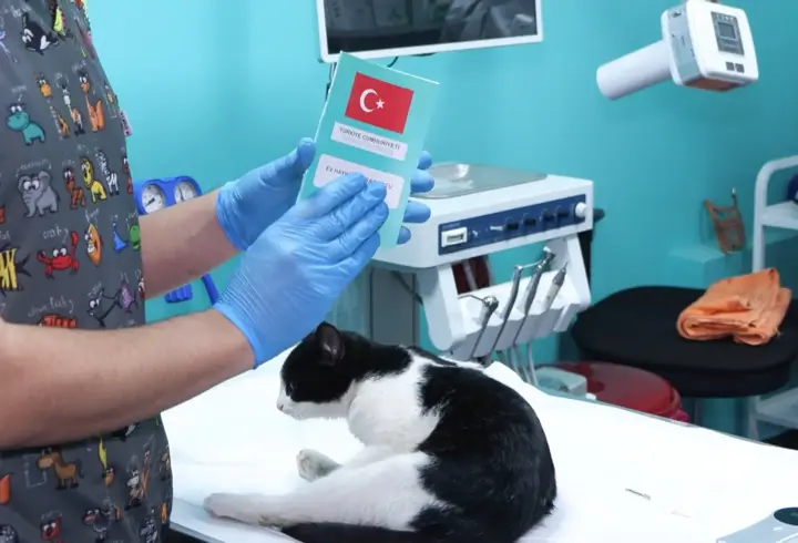 Evcil hayvanlarda mikroçip zorunluluğunda son dönemeç