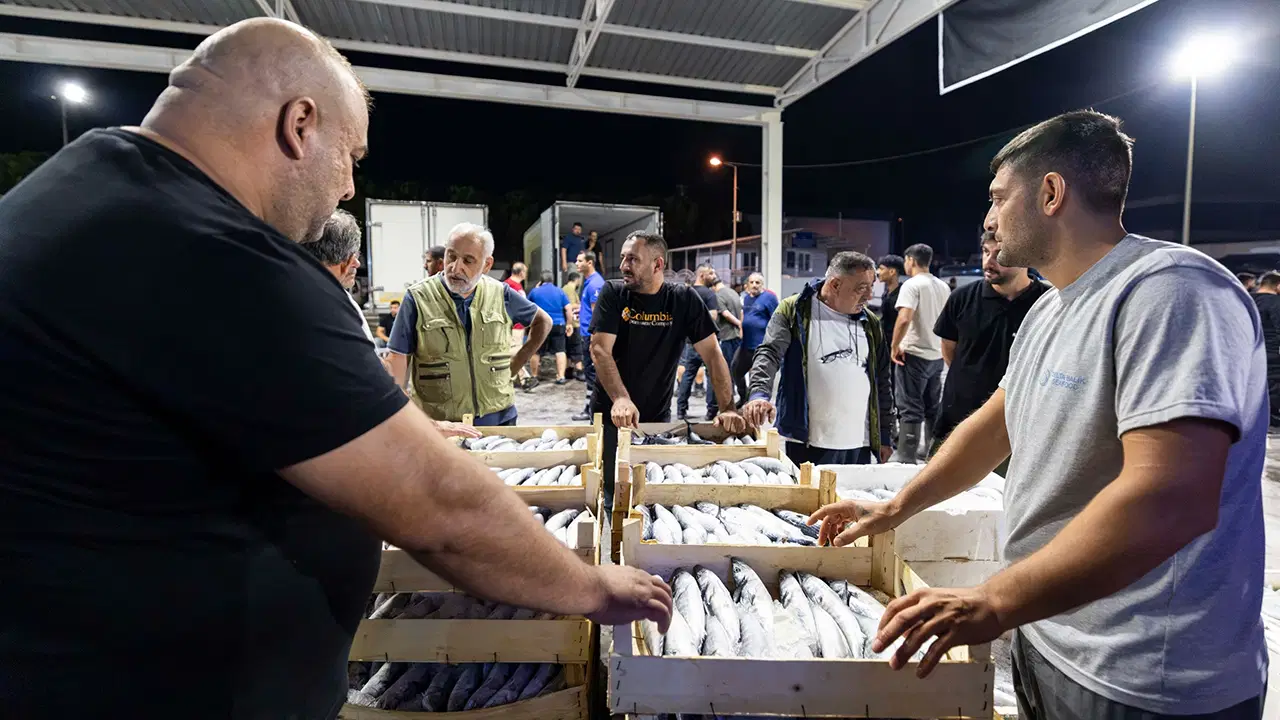 Fiyatı Düşünce, Kasayı Kapan Halin Yolunu Tuttu!