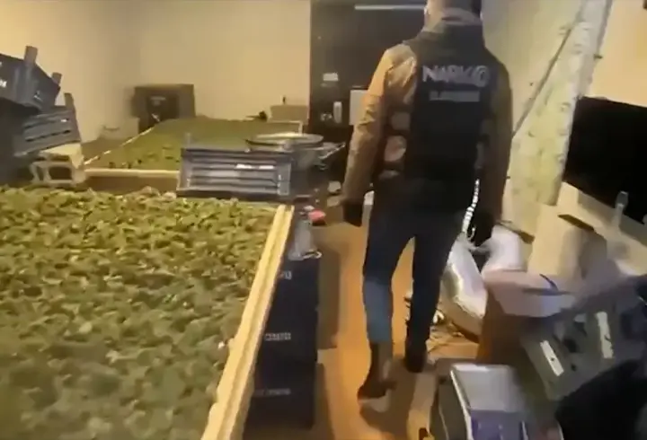 SON DAKİKA | 65 ilde zehir tacirlerine operasyon: 768 kişi yakalandı