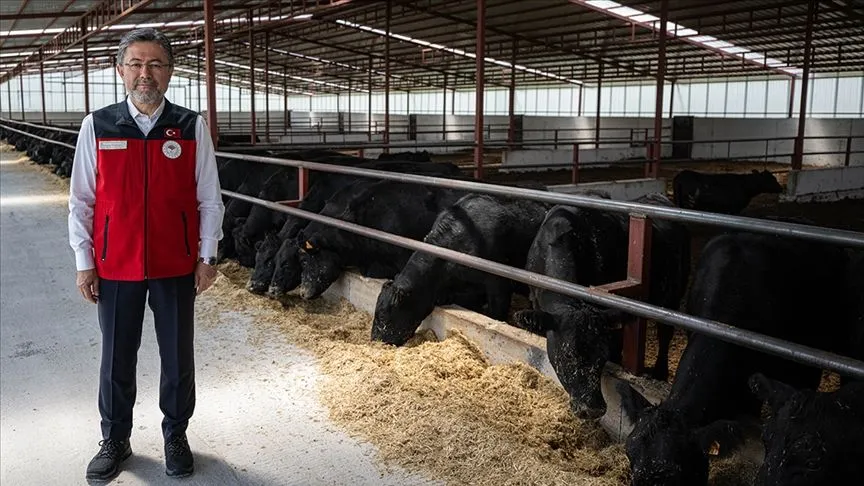 Kırsalda Bereket Hayvancılığa Destek Projesi'nde 4 bin 351 hak sahibi belirlendi