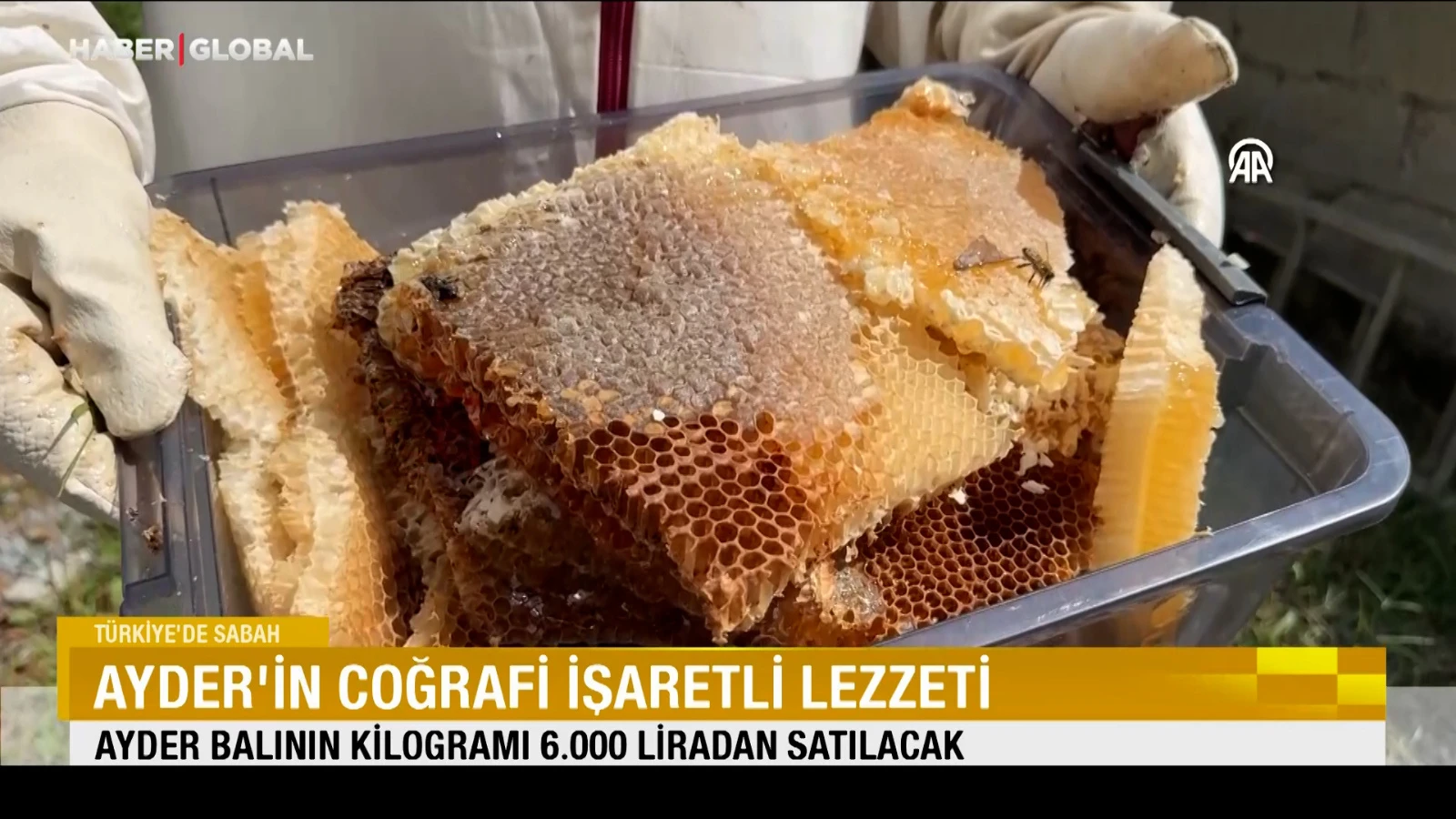 Ayder'in coğrafi işaretli lezzeti 6 bin alıcı bulacak