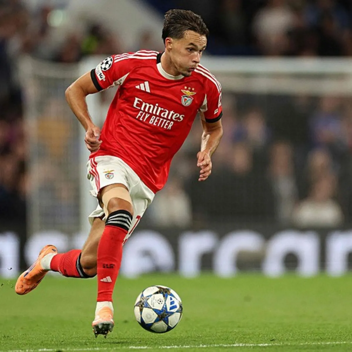 Newcastle United, Bosna Hersekli futbolcu Amar Dedic'i transfer etti!