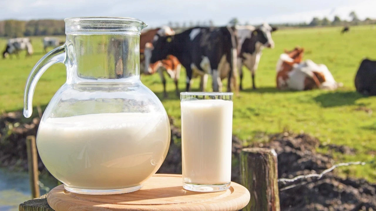 Sütte 2025 tablosu: Toplama geriledi, ayran ve yoğurt üretimi rekor kırdı