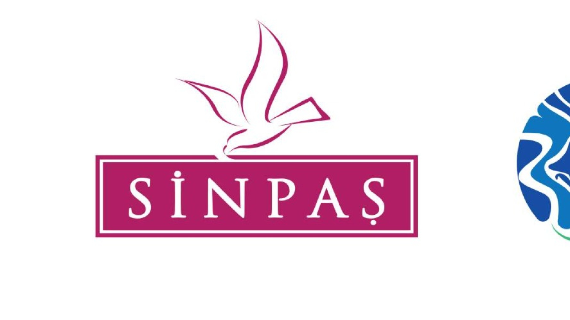 Sinpaş, Cop31'de İklim Destekçisi Oldu